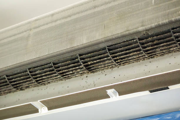 Best HVAC Duct Inspection Services  in Waco, TX